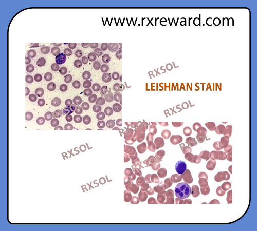 LEISHMAN STAIN