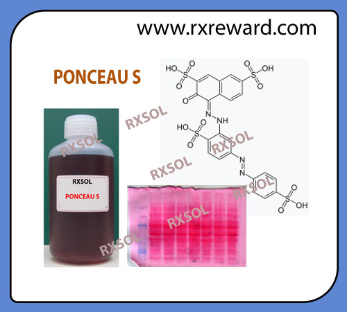 PONCEAU S